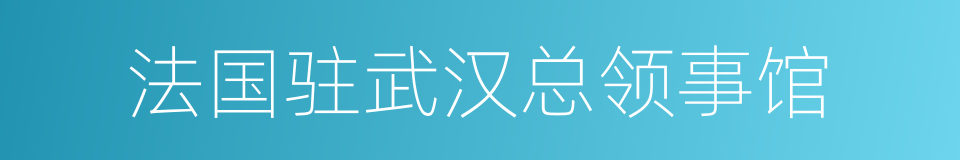 法国驻武汉总领事馆的同义词