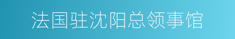 法国驻沈阳总领事馆的同义词