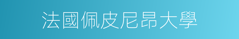 法國佩皮尼昂大學的同義詞