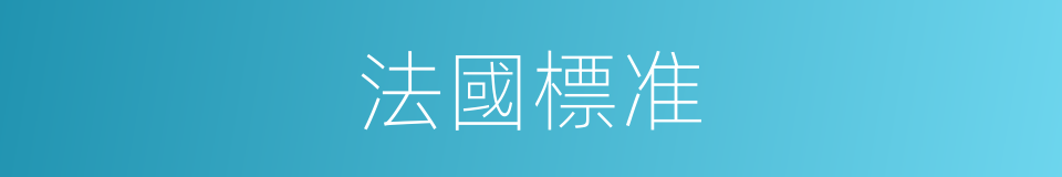 法國標准的同義詞