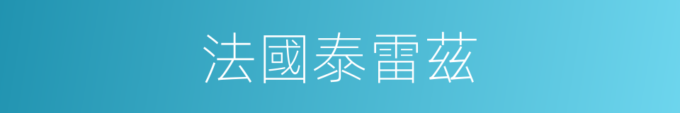 法國泰雷茲的同義詞