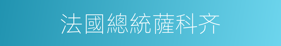法國總統薩科齐的同義詞
