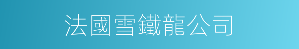 法國雪鐵龍公司的同義詞