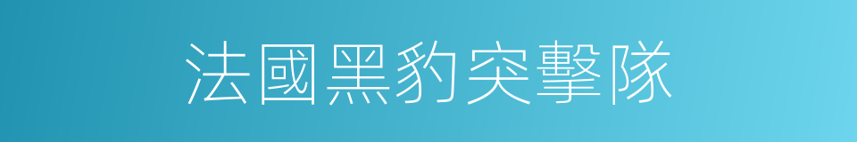 法國黑豹突擊隊的同義詞