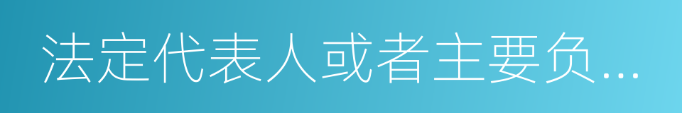 法定代表人或者主要负责人的同义词