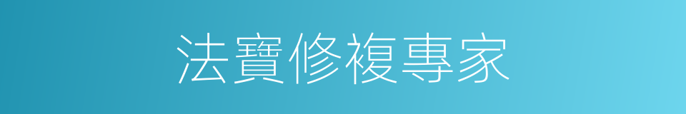 法寶修複專家的同義詞
