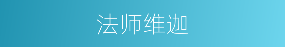 法师维迦的同义词