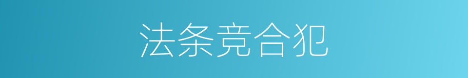 法条竞合犯的同义词