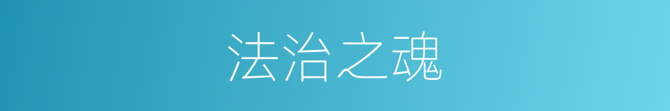 法治之魂的同义词