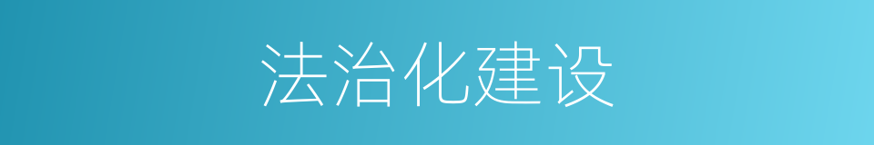 法治化建设的同义词