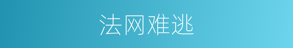 法网难逃的意思