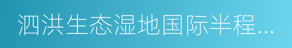 泗洪生态湿地国际半程马拉松赛的同义词