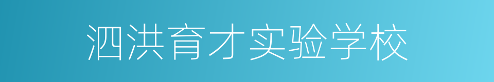 泗洪育才实验学校的同义词