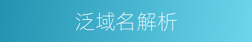 泛域名解析的同义词