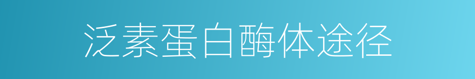 泛素蛋白酶体途径的同义词