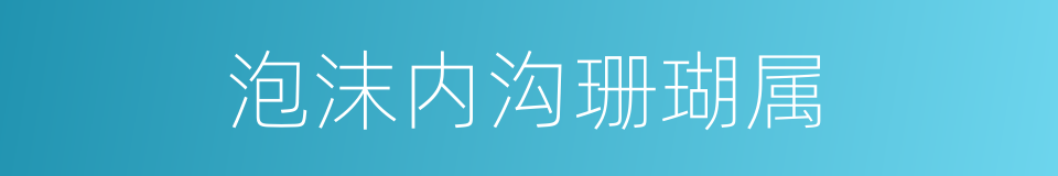 泡沫内沟珊瑚属的同义词
