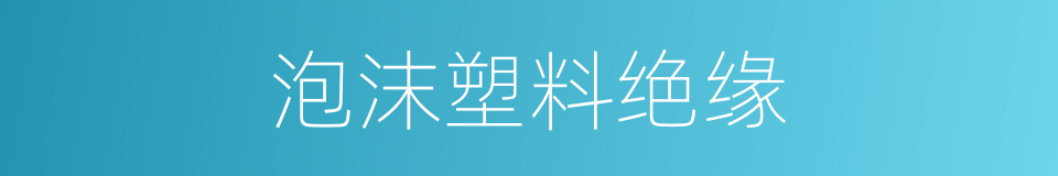泡沫塑料绝缘的同义词