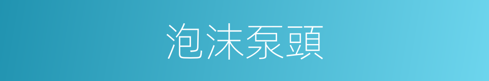 泡沫泵頭的同義詞