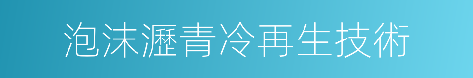 泡沫瀝青冷再生技術的同義詞