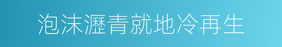 泡沫瀝青就地冷再生的同義詞