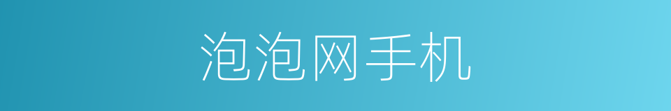 泡泡网手机的同义词