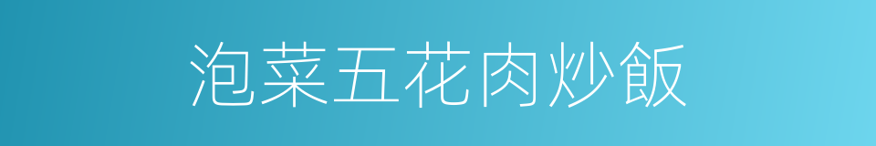 泡菜五花肉炒飯的同義詞