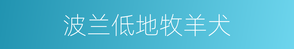 波兰低地牧羊犬的同义词