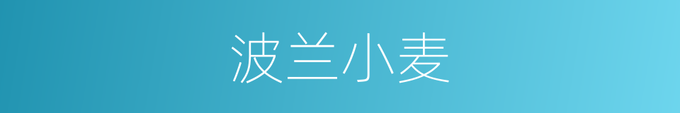 波兰小麦的同义词