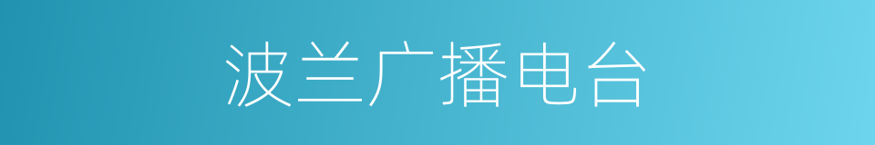 波兰广播电台的同义词