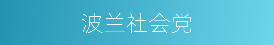 波兰社会党的同义词