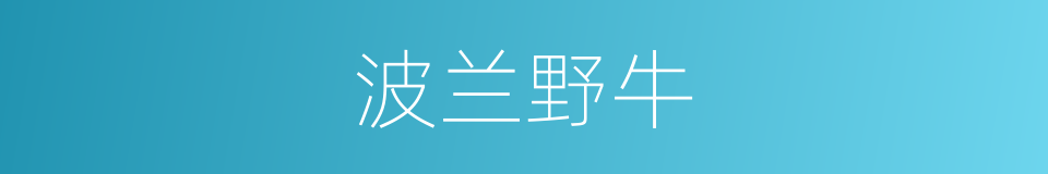 波兰野牛的同义词