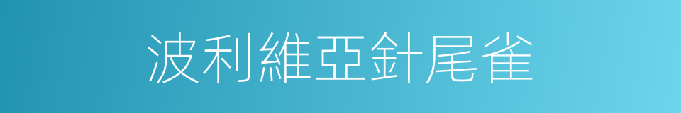 波利維亞針尾雀的同義詞
