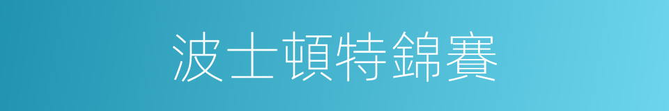 波士頓特錦賽的同義詞