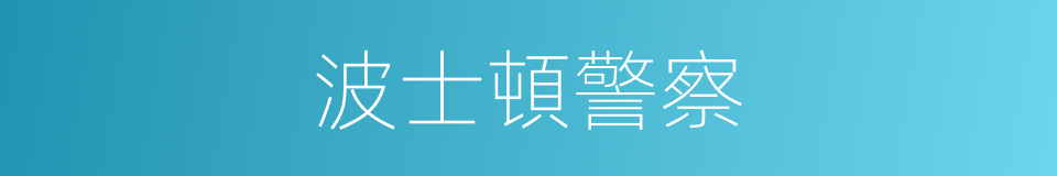 波士頓警察的同義詞