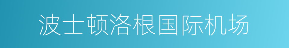 波士顿洛根国际机场的同义词