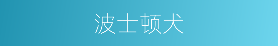 波士顿犬的同义词