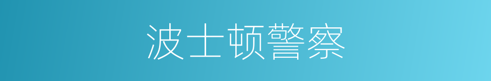 波士顿警察的同义词