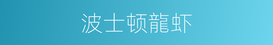 波士顿龍虾的同義詞