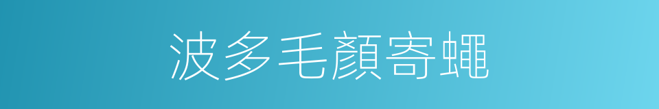 波多毛顏寄蠅的同義詞