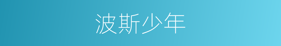 波斯少年的同义词