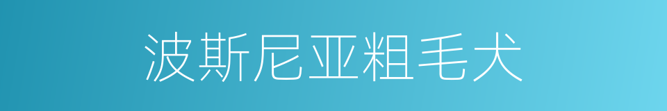 波斯尼亚粗毛犬的同义词