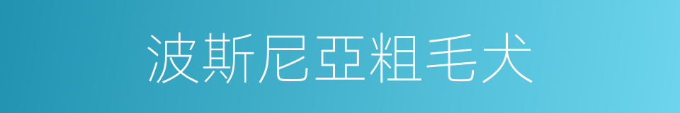 波斯尼亞粗毛犬的同義詞