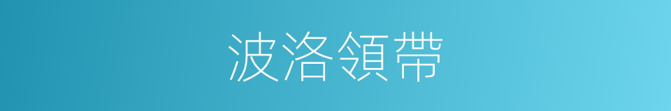波洛領帶的同義詞