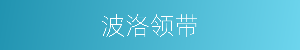 波洛领带的同义词