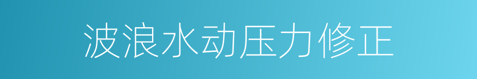 波浪水动压力修正的同义词
