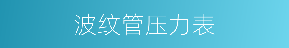 波纹管压力表的同义词