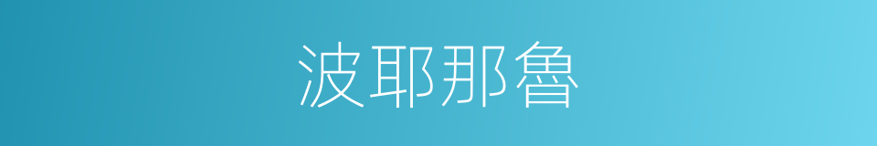 波耶那魯的同義詞