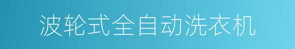 波轮式全自动洗衣机的同义词