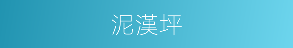 泥漢坪的同義詞