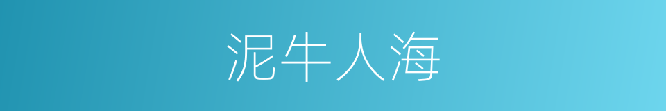 泥牛人海的同义词